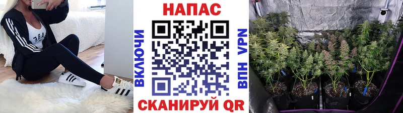 Конопля конопля  Купить где  Мариинский Посад 
